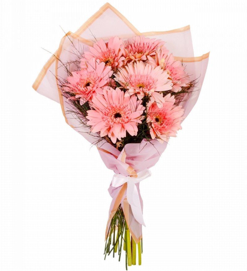 PEMBE GERBERA BUKETİ 7 ADET 