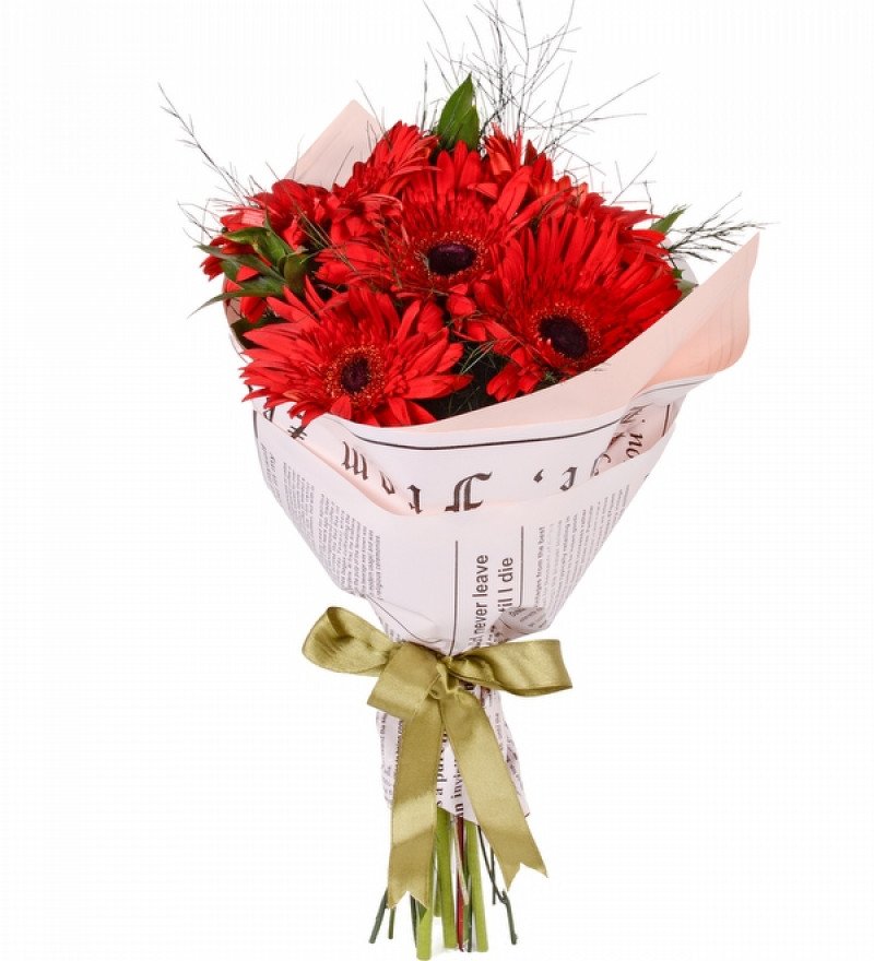 KIRMIZI GERBERA BUKETİ 7 