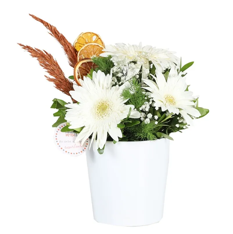 Kişiye Özel Resimli Beyaz Gerbera - Ümraniye Aynı Gün Ücretsiz Teslimat
